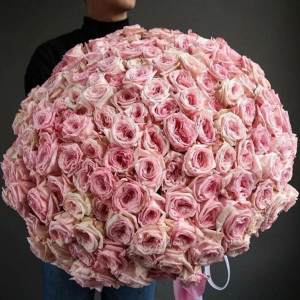 Большой букет 101 одноголовая пионовидная роза с лентами